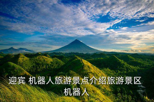 迎賓 機器人旅游景點介紹旅游景區(qū) 機器人