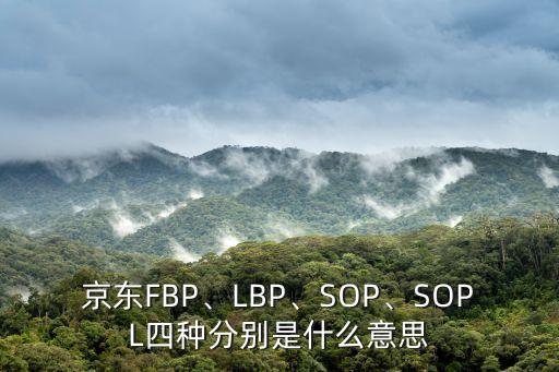 京東FBP、LBP、SOP、SOPL四種分別是什么意思