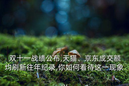 雙十一戰(zhàn)績公布,天貓、京東成交額均刷新往年紀(jì)錄,你如何看待這一現(xiàn)象...