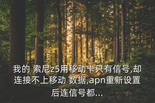 索尼手機數(shù)據(jù)接入點,oppo手機數(shù)據(jù)接入點設(shè)置