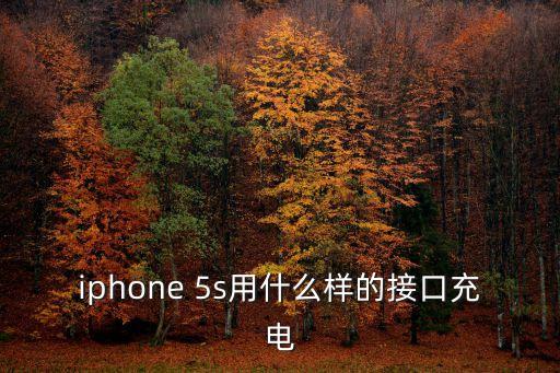 5s數(shù)據(jù)線內(nèi)部構(gòu)造,蘋果5s內(nèi)部構(gòu)造詳細(xì)圖
