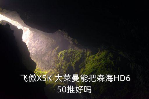  飛傲X5K 大萊曼能把森海HD650推好嗎