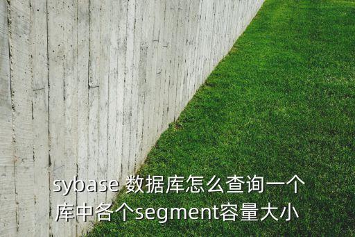 sybase 數(shù)據(jù)庫(kù)設(shè)備,Sybase數(shù)據(jù)庫(kù)端口