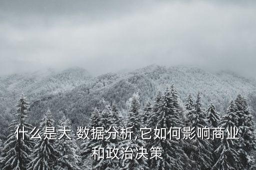 什么是大 數(shù)據(jù)分析,它如何影響商業(yè)和政治決策