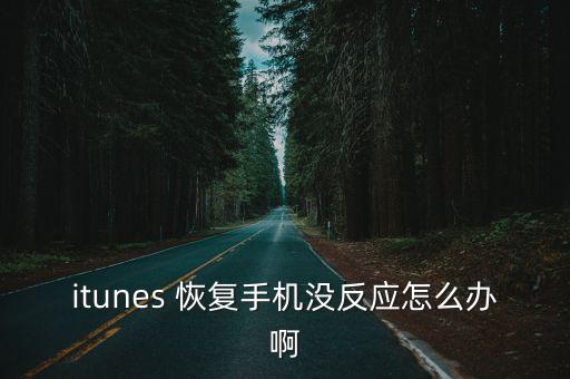 itunes 恢復(fù)手機(jī)沒(méi)反應(yīng)怎么辦啊