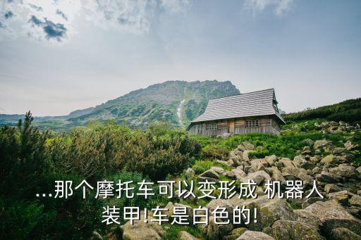 ...那個(gè)摩托車可以變形成 機(jī)器人裝甲!車是白色的!