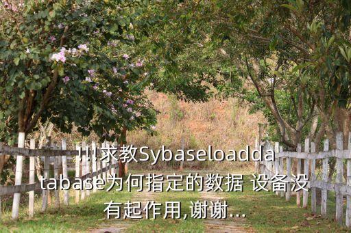 !!!求教Sybaseloaddatabase為何指定的數(shù)據(jù) 設(shè)備沒有起作用,謝謝...