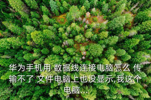 華為手機(jī)用 數(shù)據(jù)線連接電腦怎么 傳輸不了 文件電腦上也沒顯示,我這個(gè)電腦...