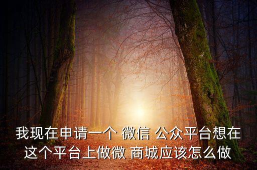 我現(xiàn)在申請一個 微信 公眾平臺想在這個平臺上做微 商城應該怎么做