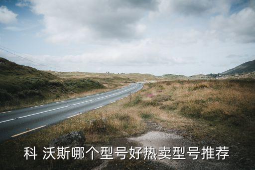 科沃斯 掃地機(jī)器人