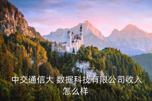 中交西部大數(shù)據(jù)是什么