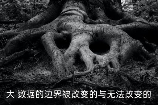 大 數(shù)據(jù)的邊界被改變的與無(wú)法改變的