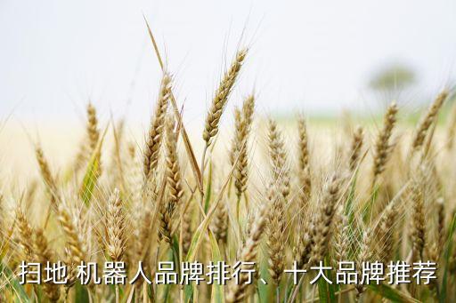 掃地 機器人品牌排行、十大品牌推薦