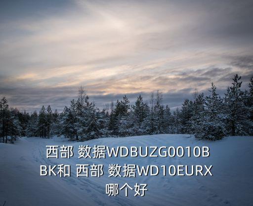 西部數(shù)據(jù)wdbuzg0010bbk
