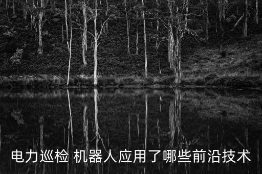 電力巡檢 機(jī)器人應(yīng)用了哪些前沿技術(shù)
