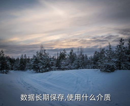  數(shù)據(jù)長(zhǎng)期保存,使用什么介質(zhì)
