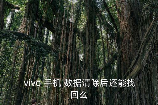  vivo 手機(jī) 數(shù)據(jù)清除后還能找回么