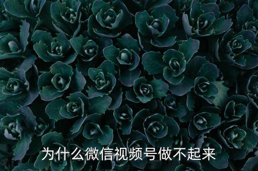 火星數(shù)據(jù)公司,火星的詳細資料與數(shù)據(jù)