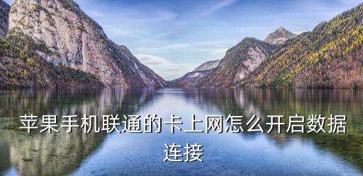  蘋(píng)果手機(jī)聯(lián)通的卡上網(wǎng)怎么開(kāi)啟數(shù)據(jù) 連接
