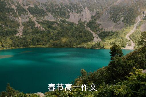 春節(jié)高一作文