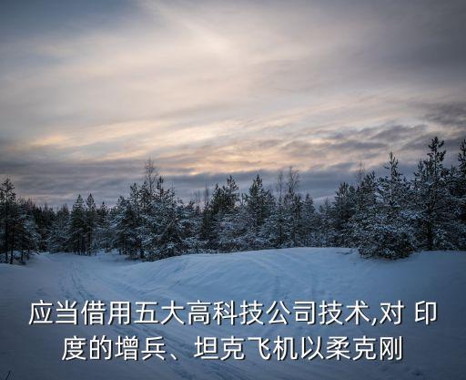 應(yīng)當(dāng)借用五大高科技公司技術(shù),對(duì) 印度的增兵、坦克飛機(jī)以柔克剛