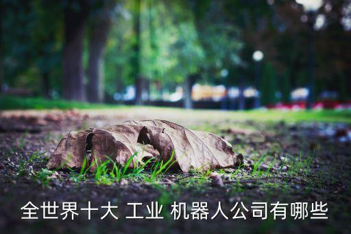 全世界十大 工業(yè) 機器人公司有哪些