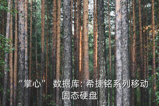 希捷數(shù)據(jù)備份
