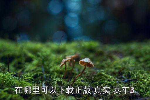 在哪里可以下載正版 真實 賽車3