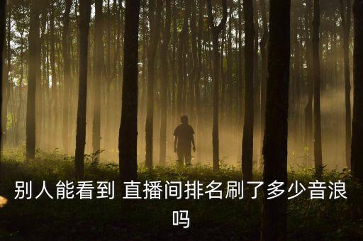 別人能看到 直播間排名刷了多少音浪嗎