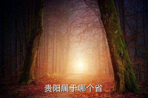 云貴數(shù)據(jù)中心,華為云貴安數(shù)據(jù)中心有多少服務器