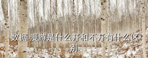  數(shù)據(jù) 漫游是什么開和不開有什么區(qū)別