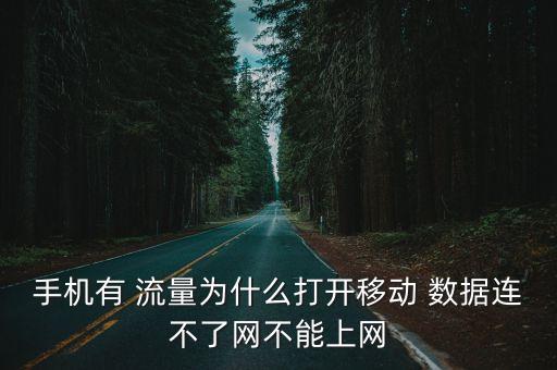 手機(jī)有 流量為什么打開移動 數(shù)據(jù)連不了網(wǎng)不能上網(wǎng)