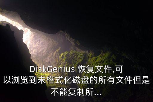 DiskGenius 恢復(fù)文件,可以瀏覽到未格式化磁盤的所有文件但是不能復(fù)制所...
