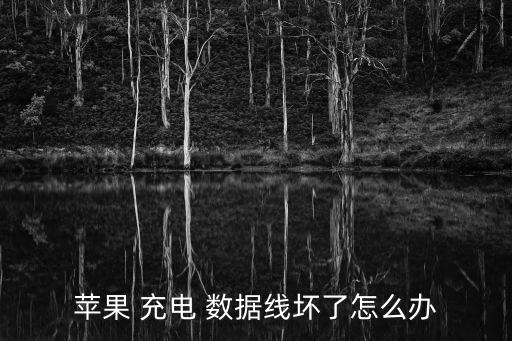 蘋果 充電 數(shù)據(jù)線壞了怎么辦