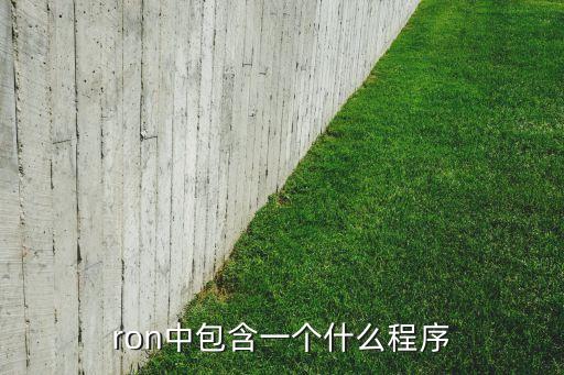ron中包含一個什么程序