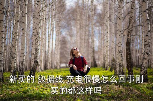 新數(shù)據(jù)線充電越來(lái)越慢,數(shù)據(jù)線用久了充電慢是什么原因