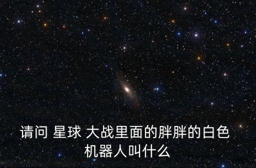 請問 星球 大戰(zhàn)里面的胖胖的白色 機器人叫什么