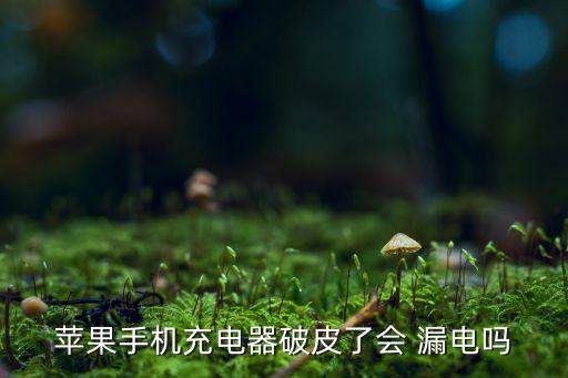 蘋果手機(jī)充電器破皮了會 漏電嗎