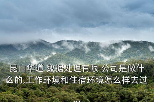 數(shù)據(jù)公司是什么樣子的,蘋(píng)果手機(jī)的數(shù)據(jù)是什么樣子的