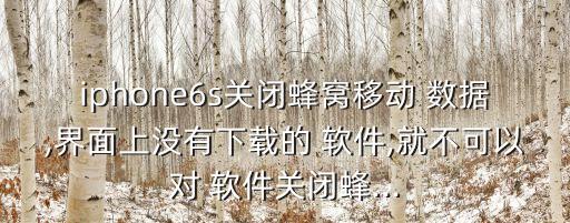 蘋果6數(shù)據(jù)怎么打開軟件,蘋果11數(shù)據(jù)怎么打開