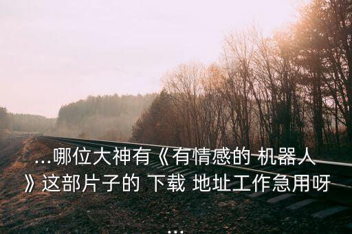 ...哪位大神有《有情感的 機(jī)器人》這部片子的 下載 地址工作急用呀...