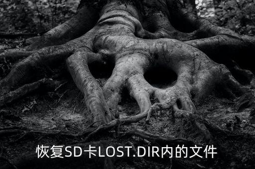 恢復(fù)SD卡LOST.DIR內(nèi)的文件