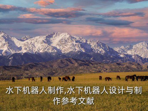 簡(jiǎn)易水下機(jī)器人制作,水下機(jī)器人設(shè)計(jì)與制作參考文獻(xiàn)