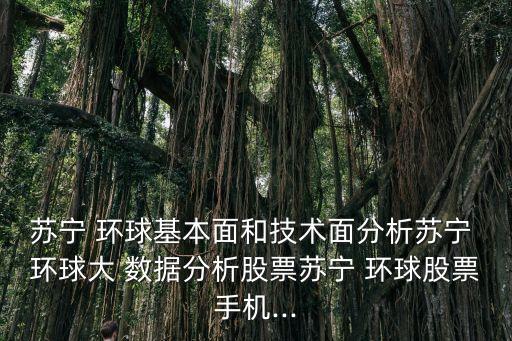 蘇寧 環(huán)球基本面和技術面分析蘇寧 環(huán)球大 數據分析股票蘇寧 環(huán)球股票手機...