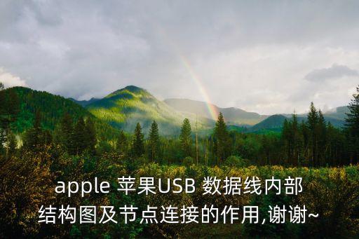 apple 蘋果USB 數(shù)據(jù)線內(nèi)部結(jié)構(gòu)圖及節(jié)點連接的作用,謝謝~