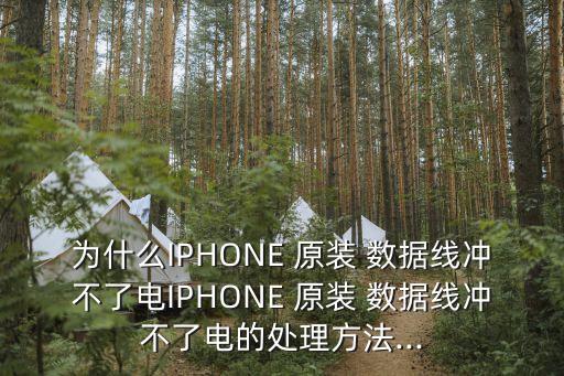 為什么IPHONE 原裝 數(shù)據(jù)線沖不了電IPHONE 原裝 數(shù)據(jù)線沖不了電的處理方法...