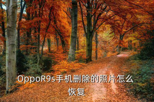 oppor9s怎么恢復(fù)出數(shù)據(jù)