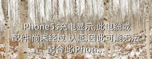 iPhone5s充電顯示,此電纜或配件 尚未經(jīng)過(guò) 認(rèn)證,因此可能無(wú)法配合此iPhon...