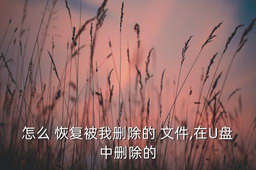 怎么 恢復(fù)被我刪除的 文件,在U盤中刪除的