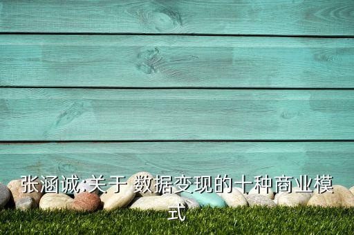 張涵誠:關(guān)于 數(shù)據(jù)變現(xiàn)的十種商業(yè)模式